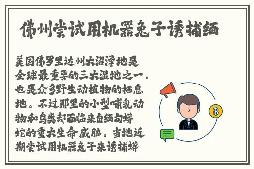日本高清视频一区二区